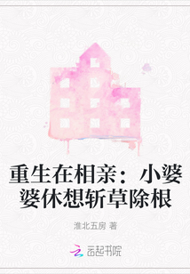 重生在相親：小婆婆休想斬草除根