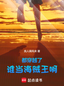 都穿越了誰當海賊王啊!