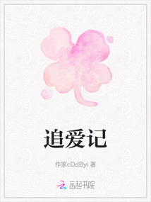 追愛記
