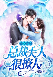 偷心盜賊：總裁夫人很撩人