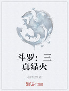 斗罗：三真绿火在线阅读