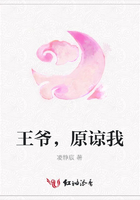 王爷，原谅我在线阅读