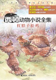 西頓動(dòng)物小說全集:紅脖子松雞