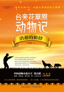 消逝的狼群