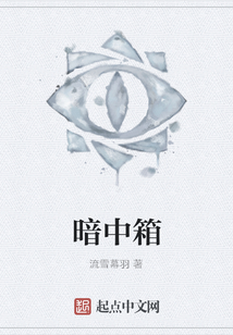 暗中箱