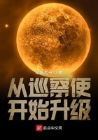 從巡察使開始升級在線閱讀