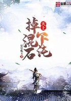 天上掉下混沌石