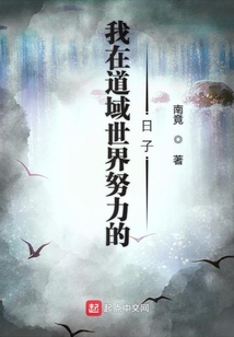 我在道域世界努力的日子