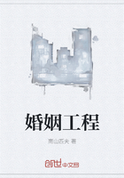 婚姻工程在线阅读