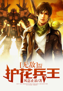 无敌护花兵王