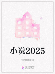 小說(shuō)2025