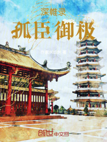 深帷錄：孤臣御極