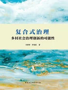 复合式治理:乡村社会治理创新的可能性在线阅读
