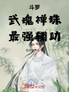 斗罗:武魂禅珠,最强辅助在线阅读