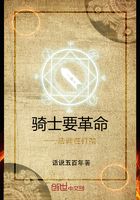 騎士要革命法師在打架在線閱讀