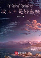 不想當(dāng)刺客的戰(zhàn)士不是好盜賊在線閱讀