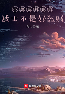 不想當(dāng)刺客的戰(zhàn)士不是好盜賊