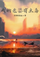 我的老婆有點毒在線閱讀