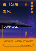 战斗妖精雪风：GOOD LUCK