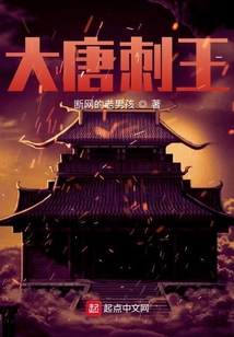 大唐刺王