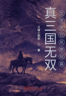真三國無雙之蒼天已死