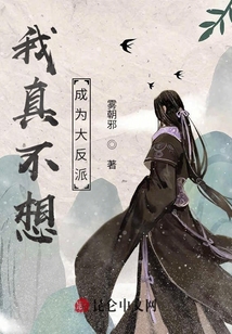 穿越反派圣子
