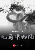 北馬嘯西風在線閱讀