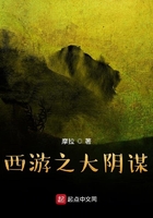西游之大阴谋在线阅读