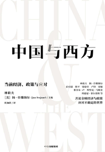 中國與西方：當前經濟、政策與應對
