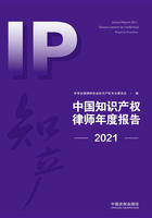 中国知识产权律师年度报告（2021）在线阅读