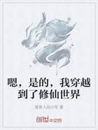 嗯,是的,我穿越到了修仙世界在线阅读