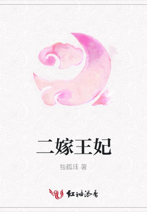 二嫁王妃
