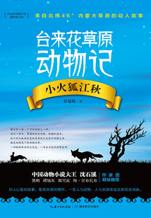 小火狐江秋