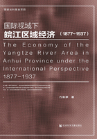 国际视域下皖江区域经济（1877～1937）在线阅读