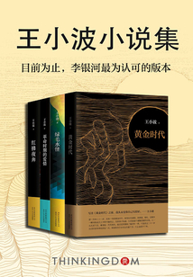 王小波小說(shuō)集