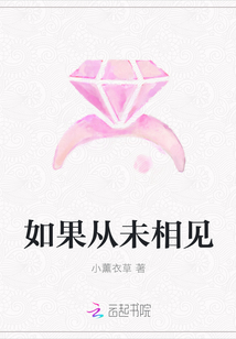 如果從未相見