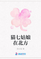貓七姑娘在北方在線閱讀