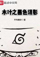 木葉之黑色陰影在線閱讀