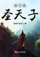 我不是圣天子在線閱讀