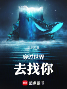 穿过世界去找你
