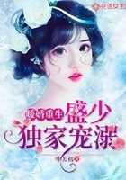 暖婚重生:盛少独家宠溺在线阅读