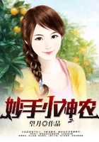 妙手小神农