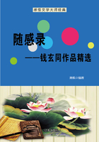 随感录：钱玄同作品精选（感悟文学大师经典）在线阅读