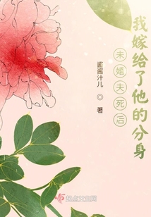 未婚夫死后我嫁給了他的分身