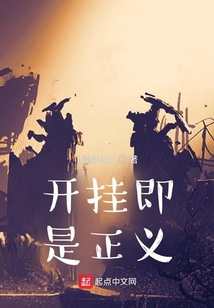 開掛即是正義