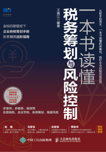 一本書讀懂稅務籌劃與風險控制