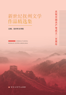 新世紀(jì)撫州文學(xué)作品精選集