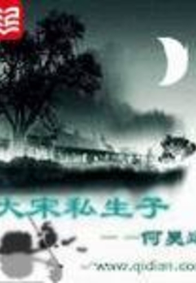 大宋私生子在线阅读