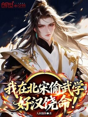 我在北宋偷武学，好汉饶命！在线阅读