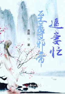 至尊邪帝追妻忙